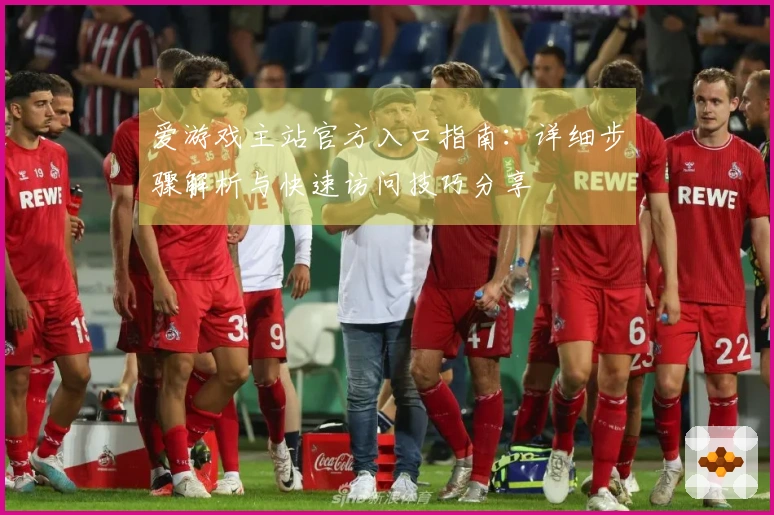 爱游戏主站官方入口指南：详细步骤解析与快速访问技巧分享